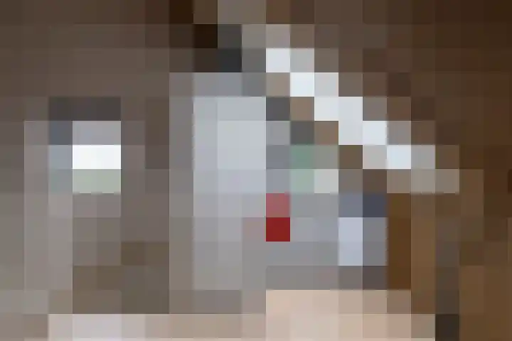 Lindestraat 12 Eethen thumbnail 21