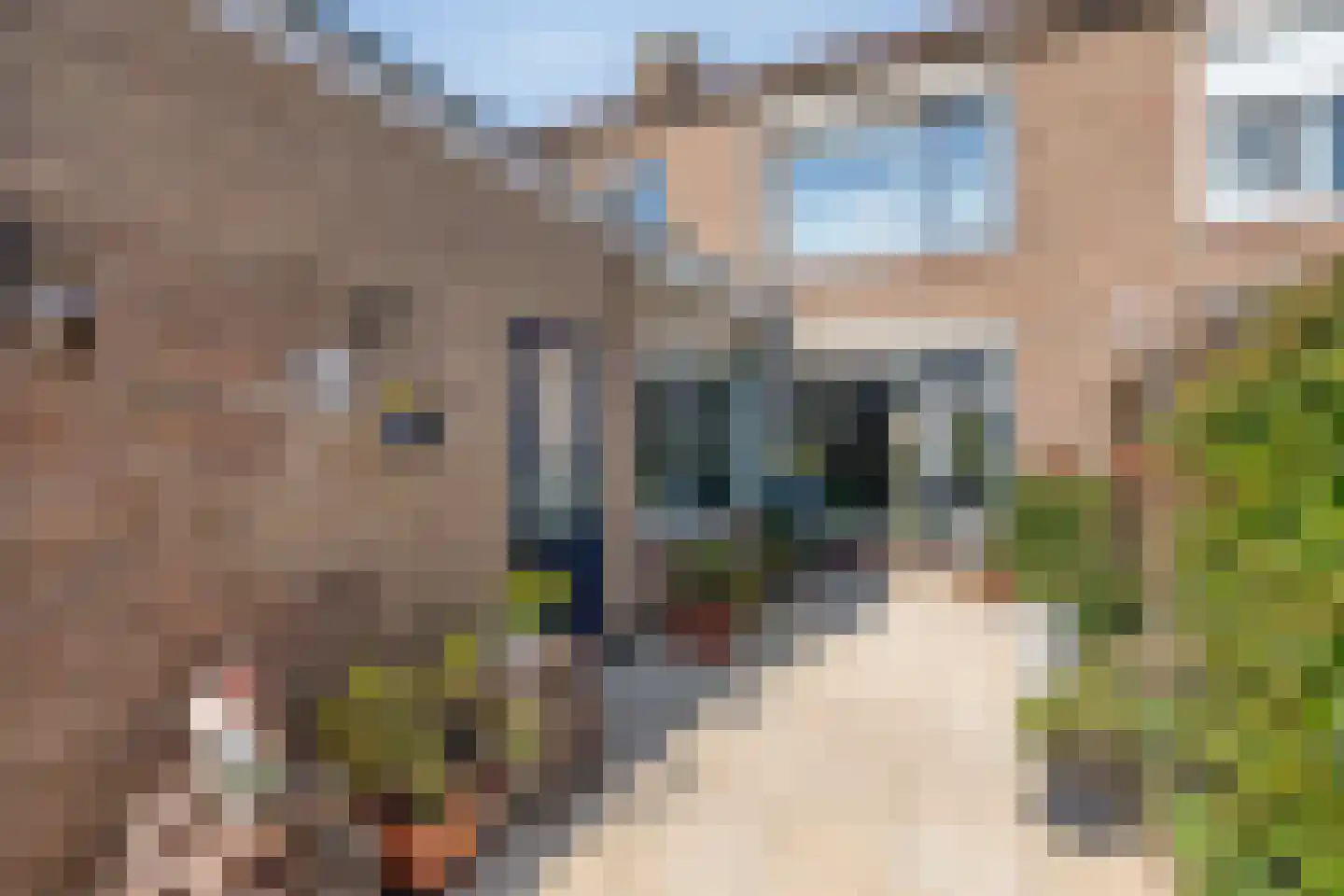 Lindestraat 14 Oudenbosch thumbnail 28
