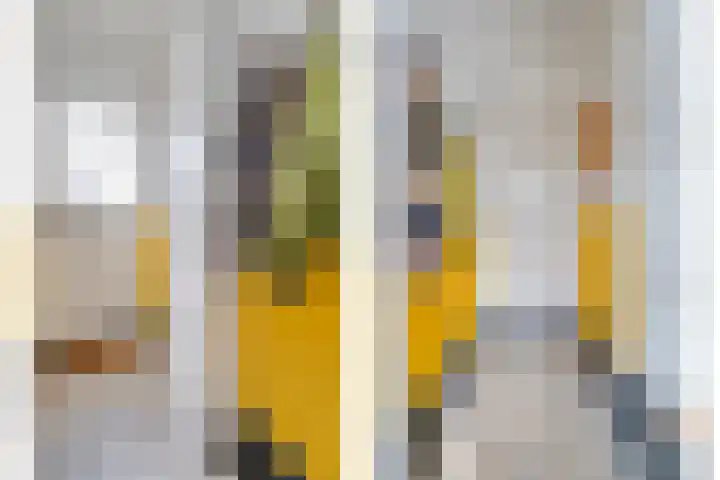 Lindestraat 14 Zwolle thumbnail 5