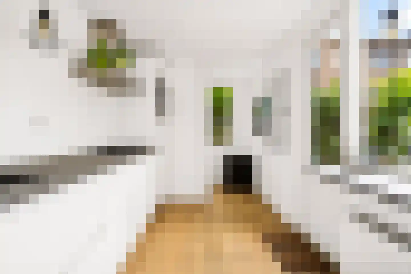 Lindestraat 15 Utrecht thumbnail 14