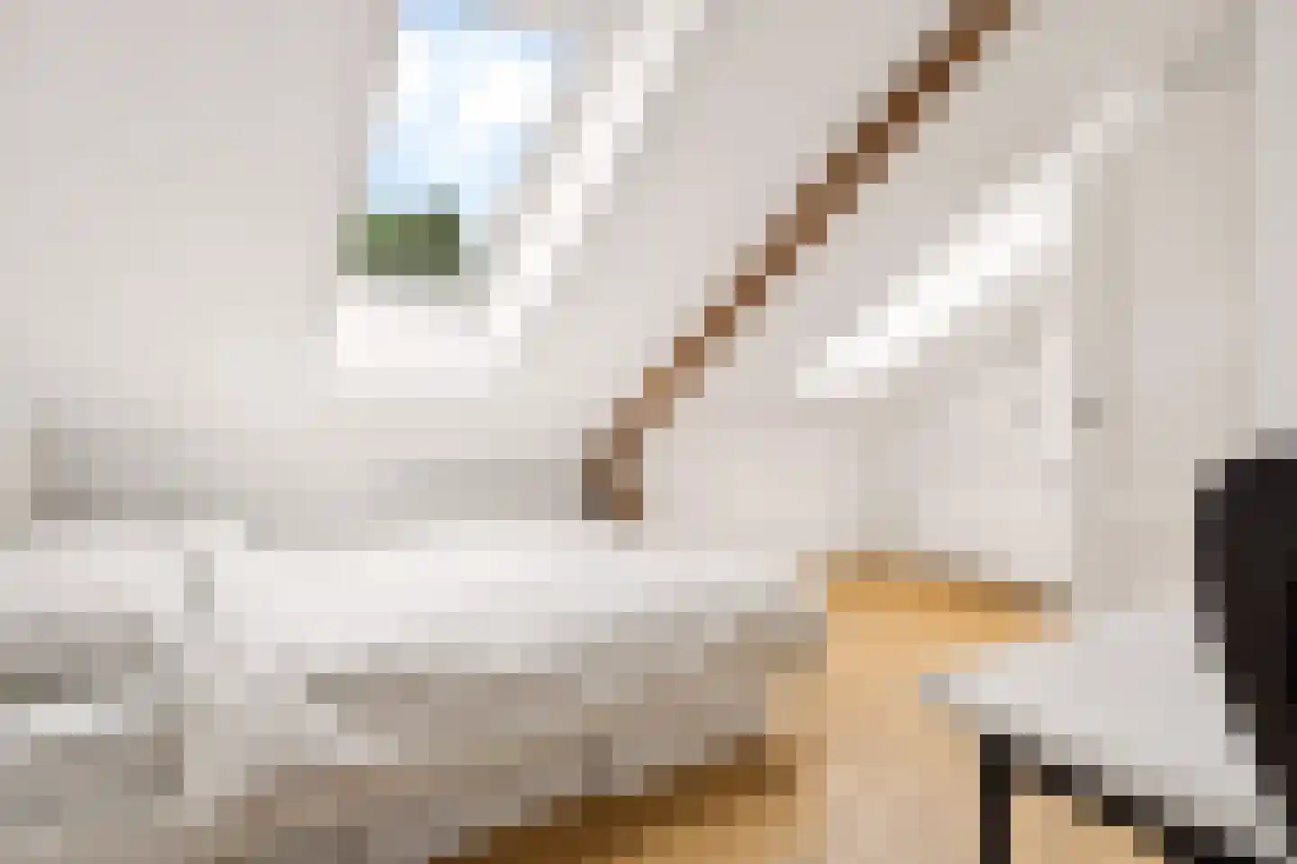 Lindestraat 15 Utrecht thumbnail 35