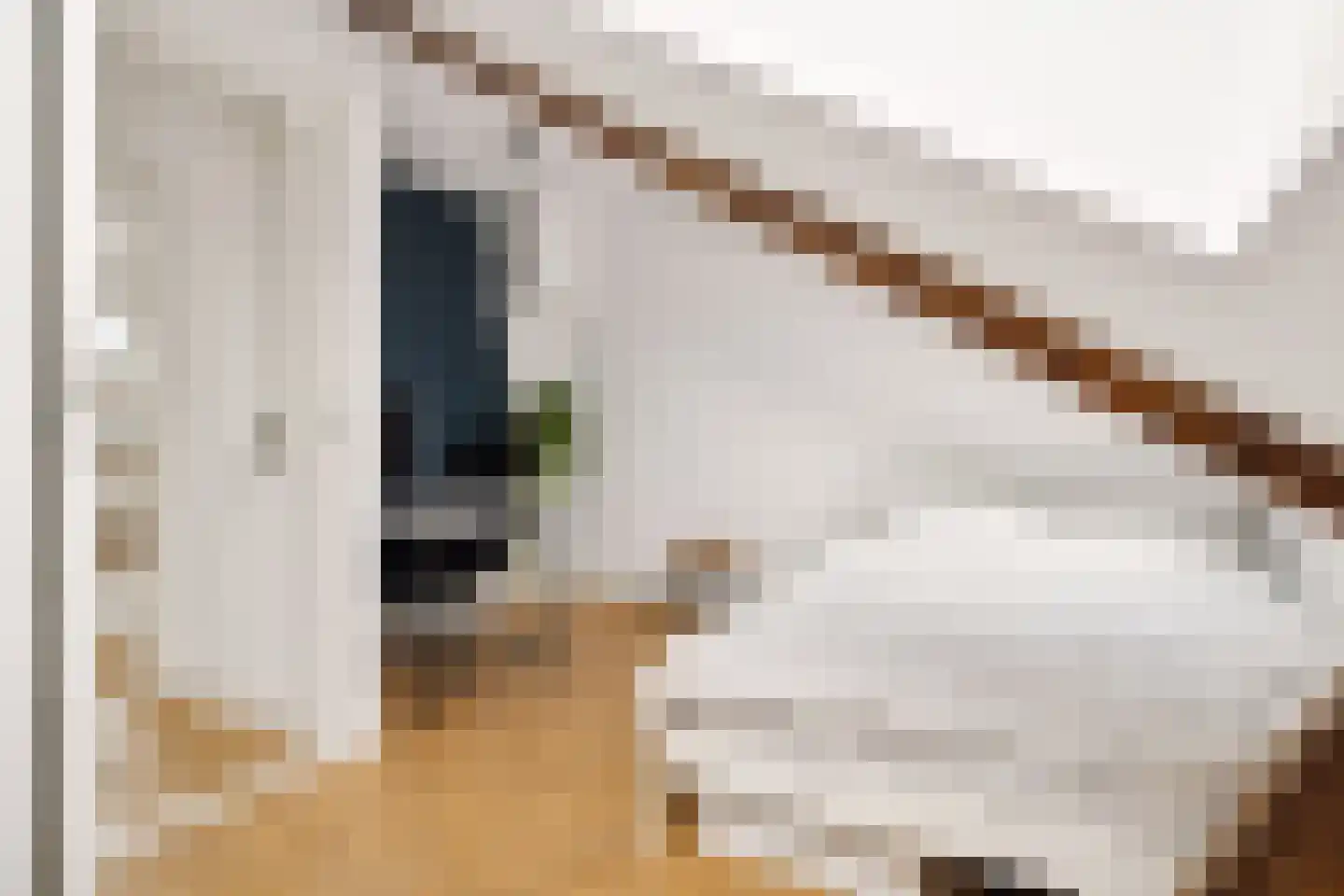 Lindestraat 15 Utrecht thumbnail 36