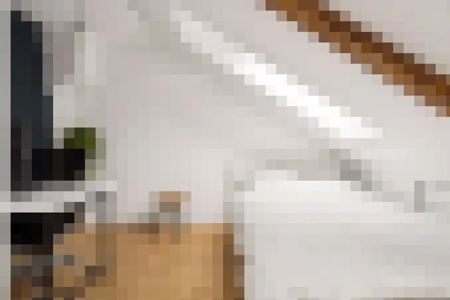 Lindestraat 15 Utrecht thumbnail 37