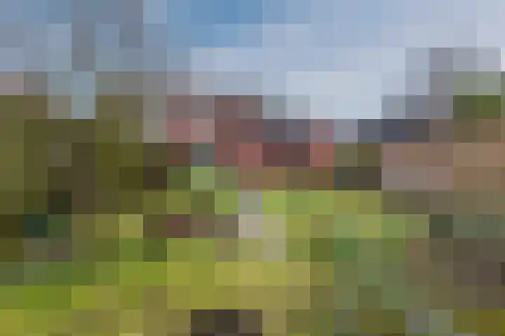 Lindestraat 16 Lichtenvoorde thumbnail 52