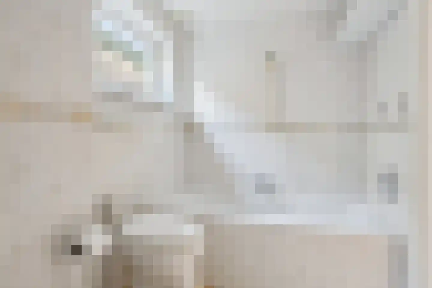 Lindestraat 17 Zwolle thumbnail 18