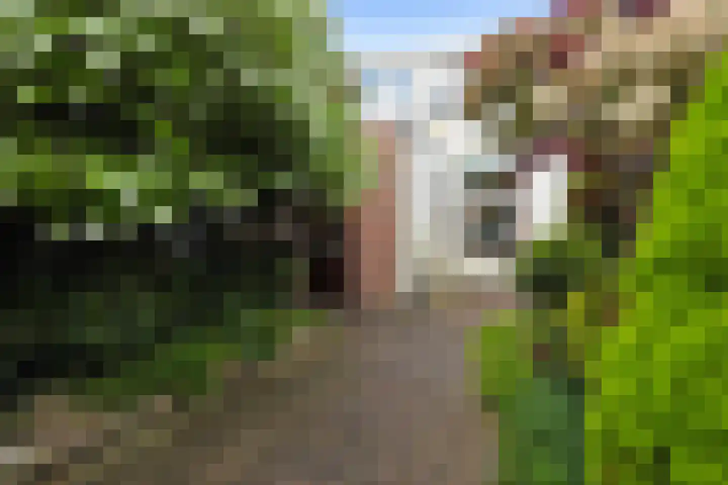 Lindestraat 17 Zwolle thumbnail 20