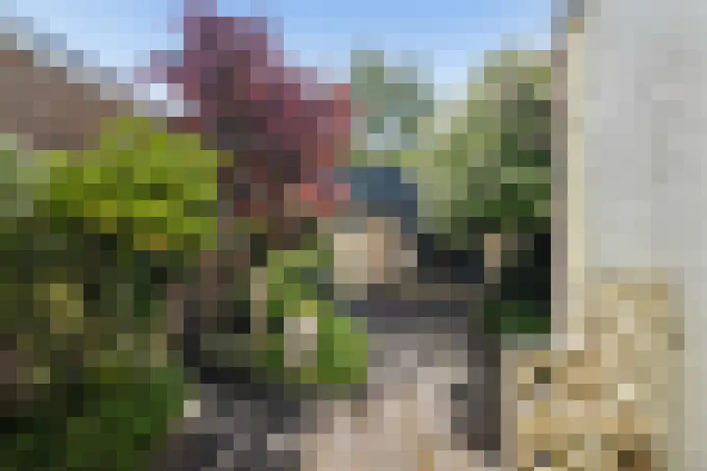 Lindestraat 17 Zwolle thumbnail 21
