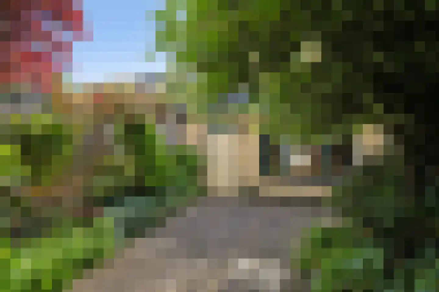 Lindestraat 17 Zwolle thumbnail 22
