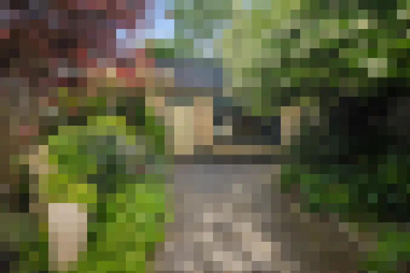 Lindestraat 17 Zwolle thumbnail 23