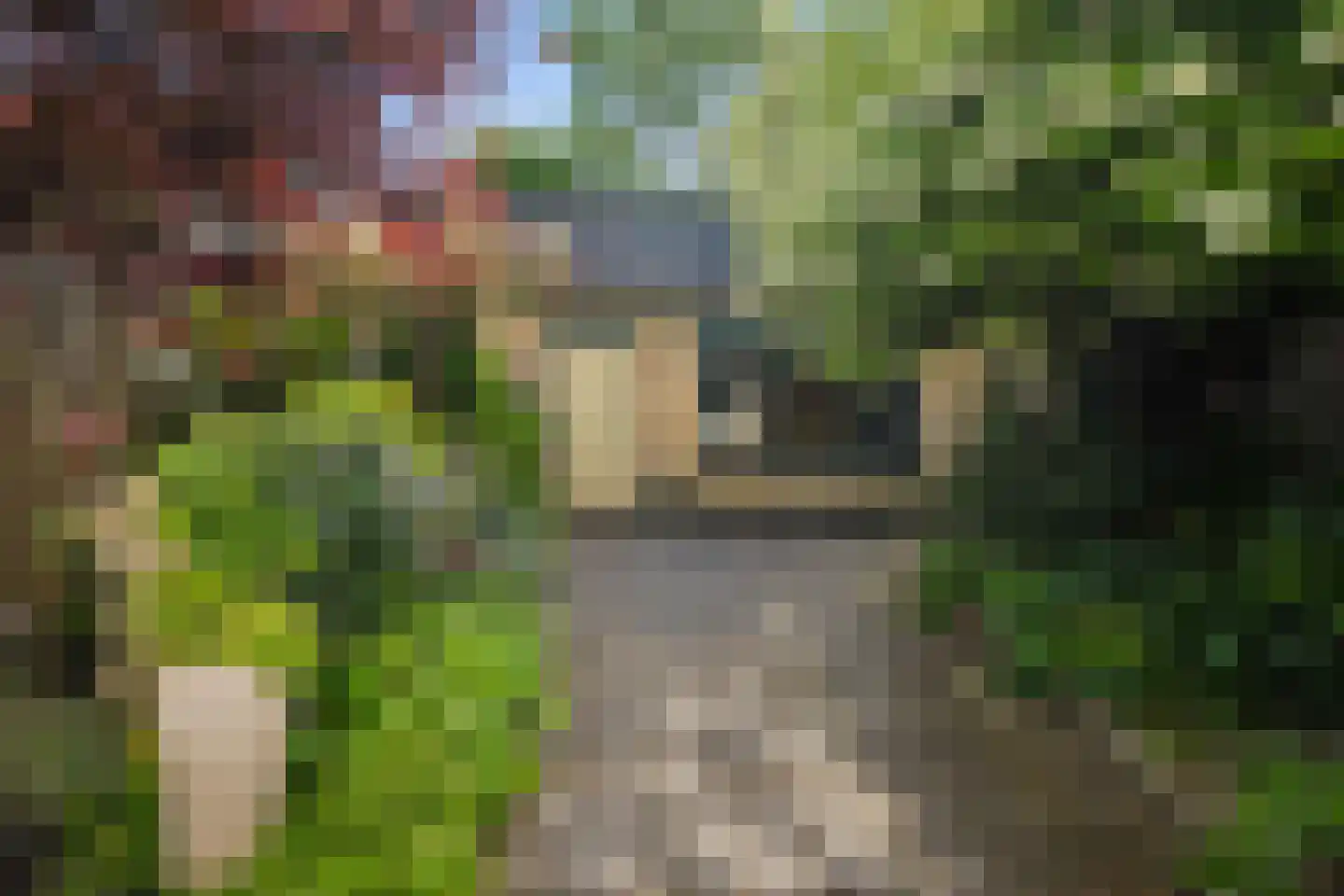 Lindestraat 17 Zwolle thumbnail 23