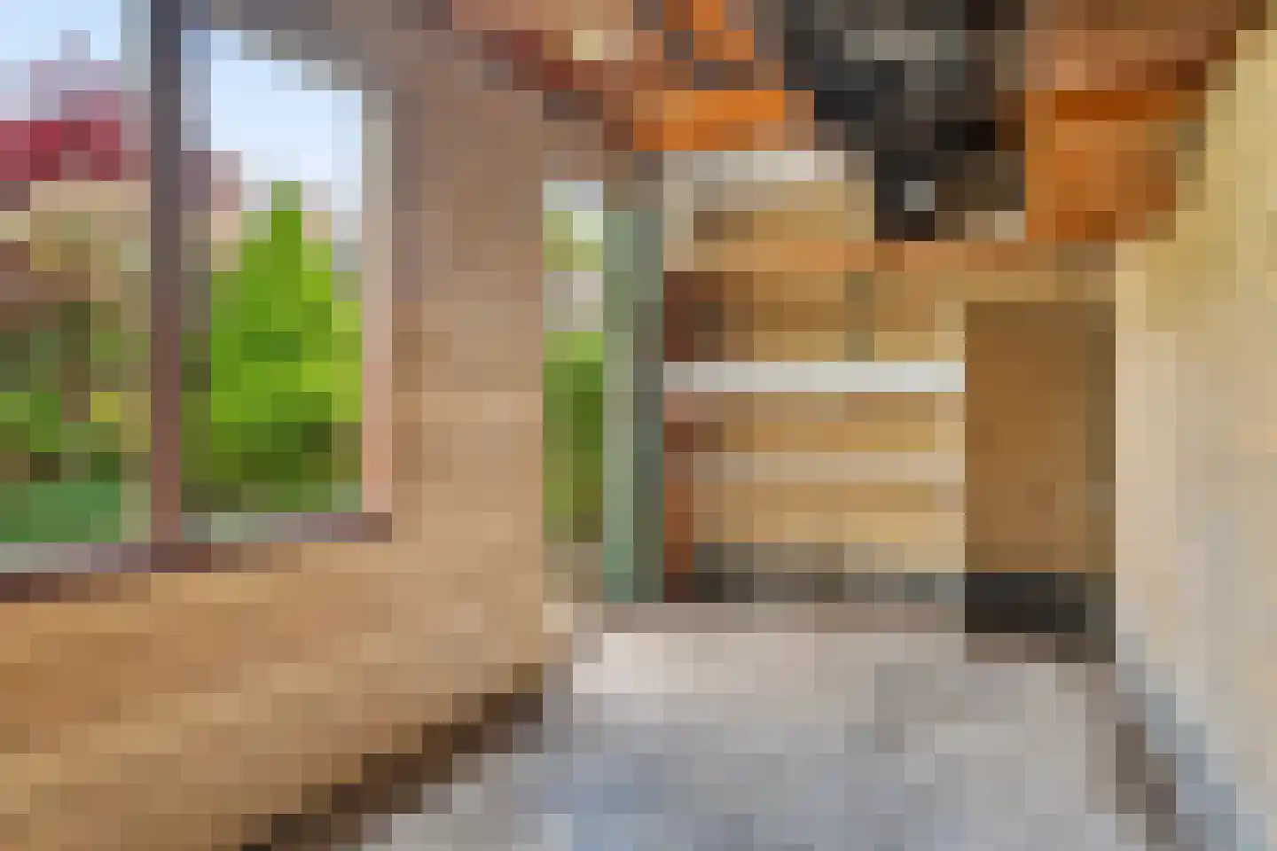 Lindestraat 17 Zwolle thumbnail 25
