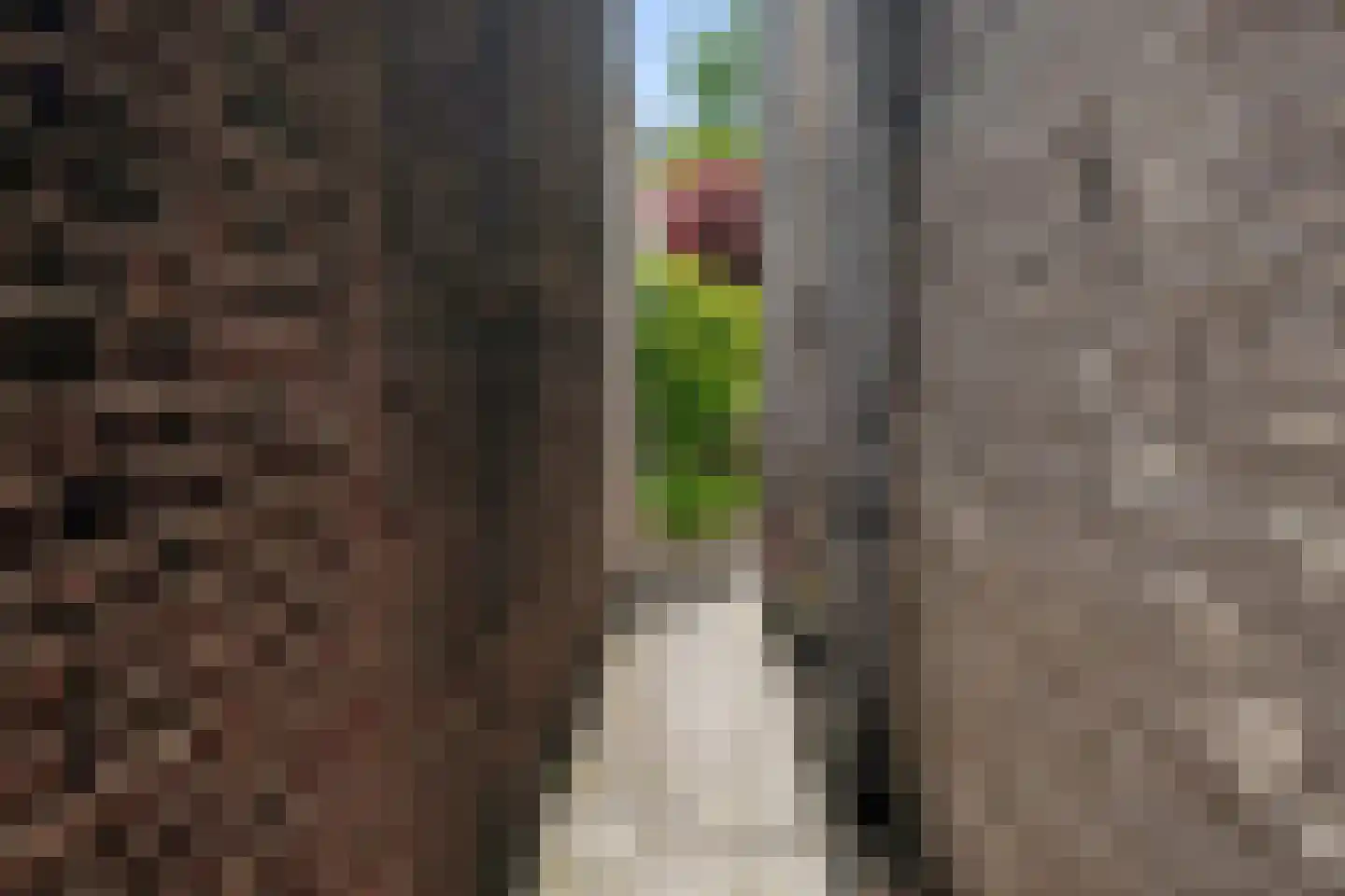 Lindestraat 17 Zwolle thumbnail 28
