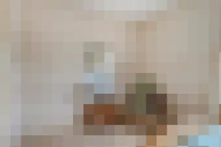 Lindestraat 18 Asten thumbnail 22
