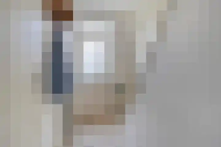 Lindestraat 18 Asten thumbnail 4