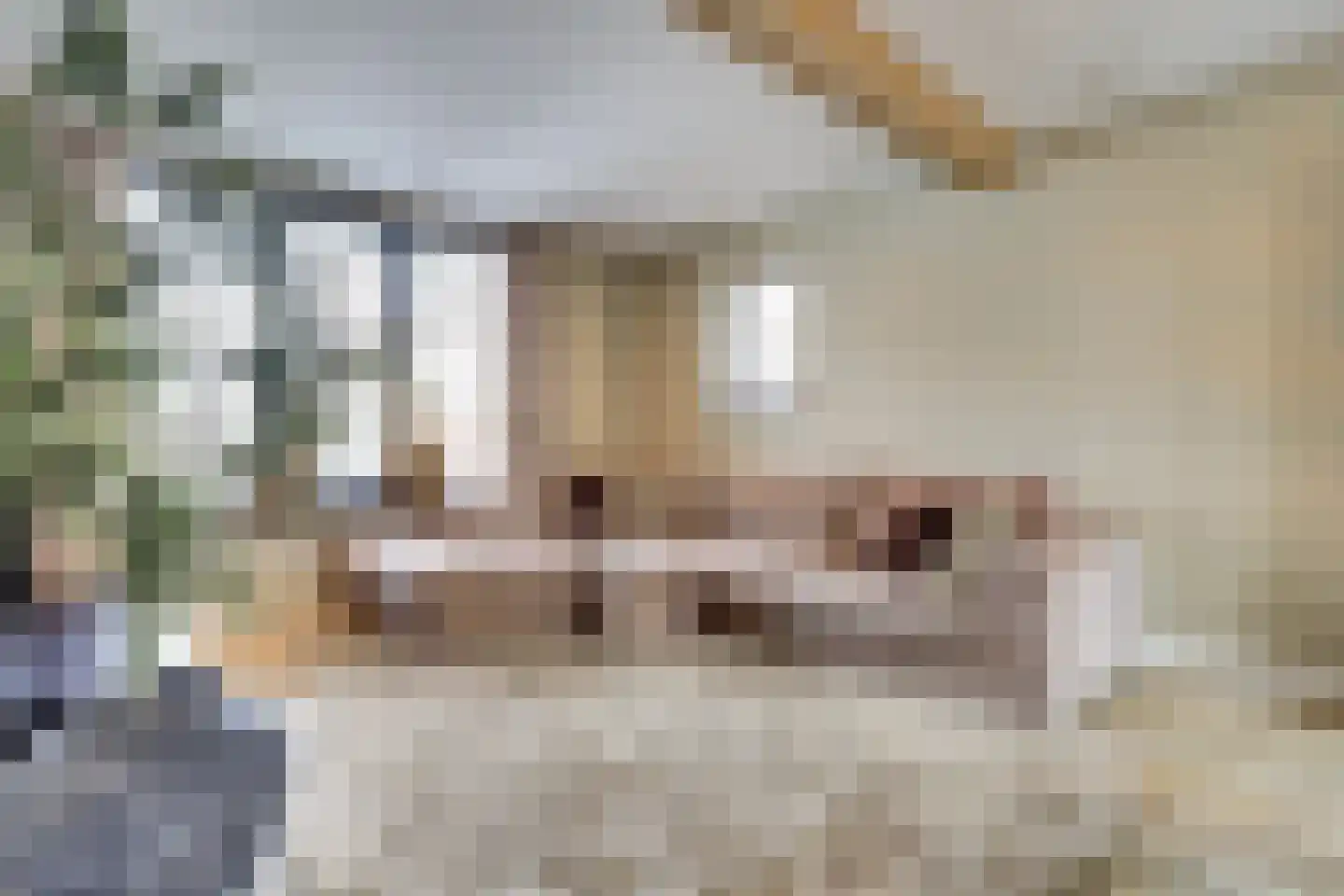 Lindestraat 2 Reusel thumbnail 10