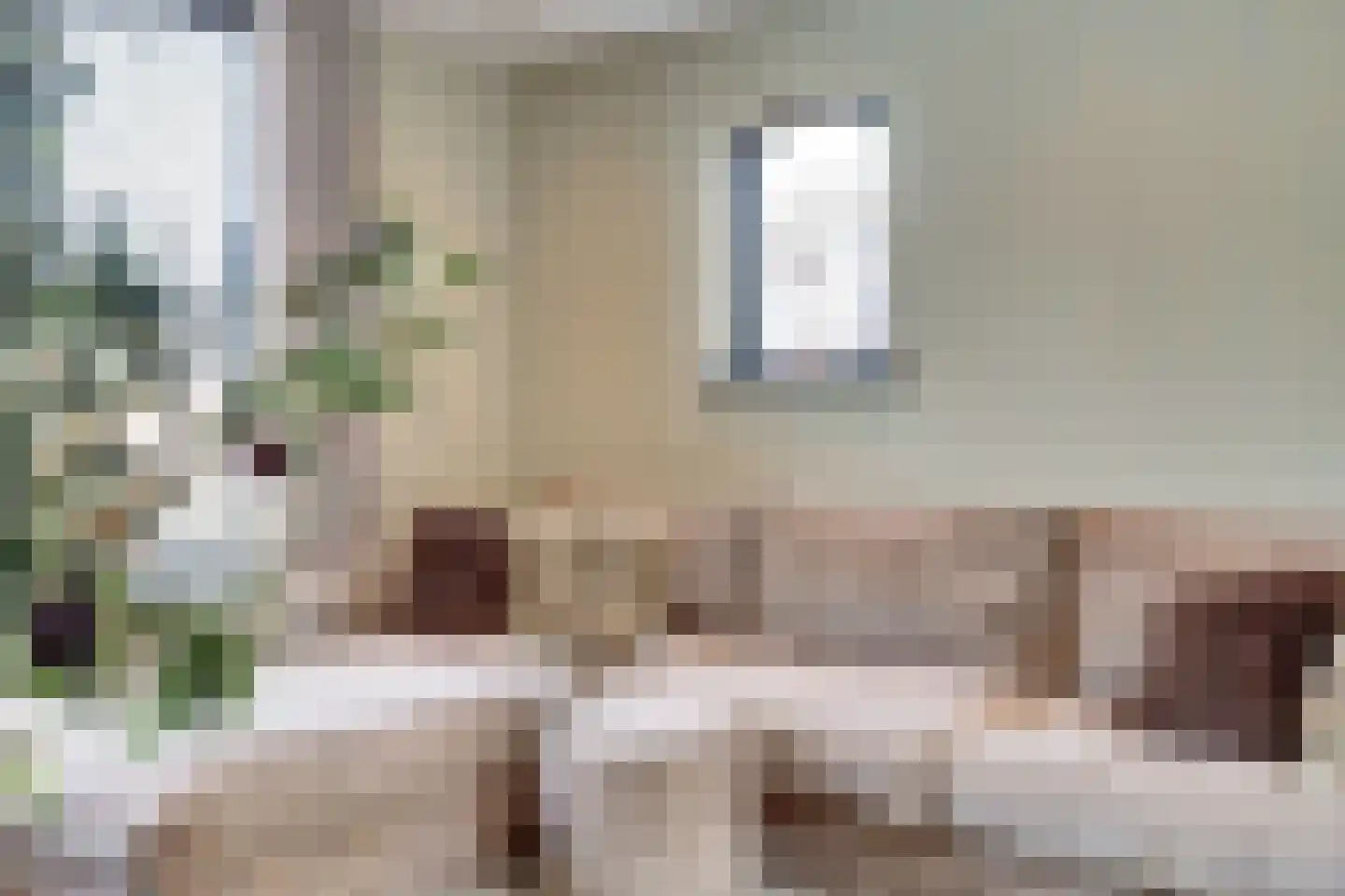 Lindestraat 2 Reusel thumbnail 11