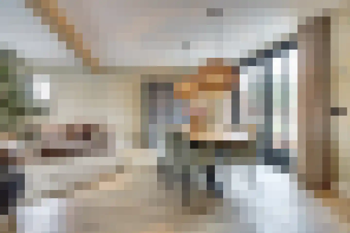 Lindestraat 2 Reusel thumbnail 17