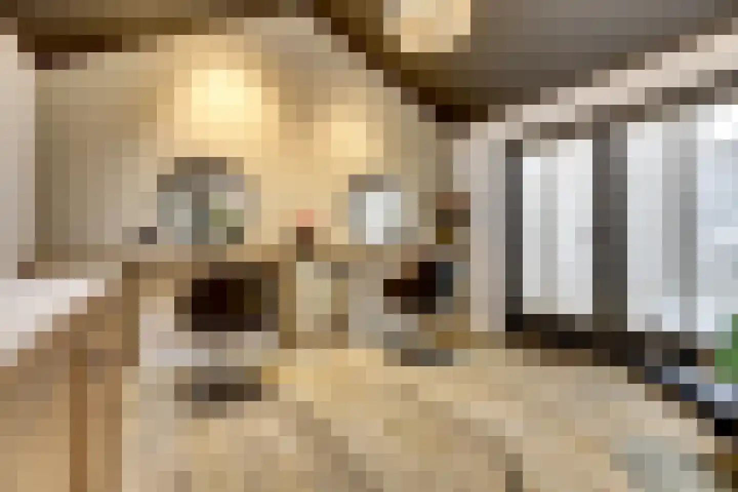 Lindestraat 2 Reusel thumbnail 40