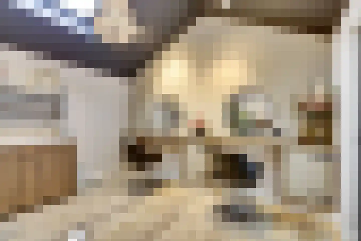 Lindestraat 2 Reusel thumbnail 41