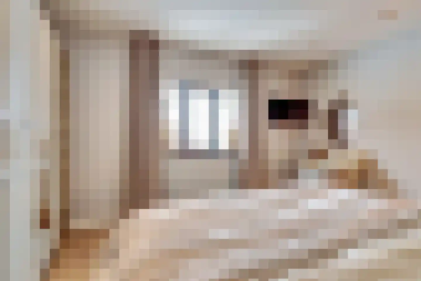 Lindestraat 2 Reusel thumbnail 47