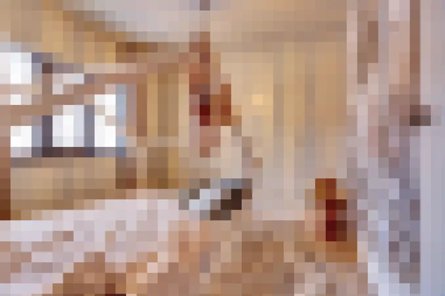 Lindestraat 2 Reusel thumbnail 48