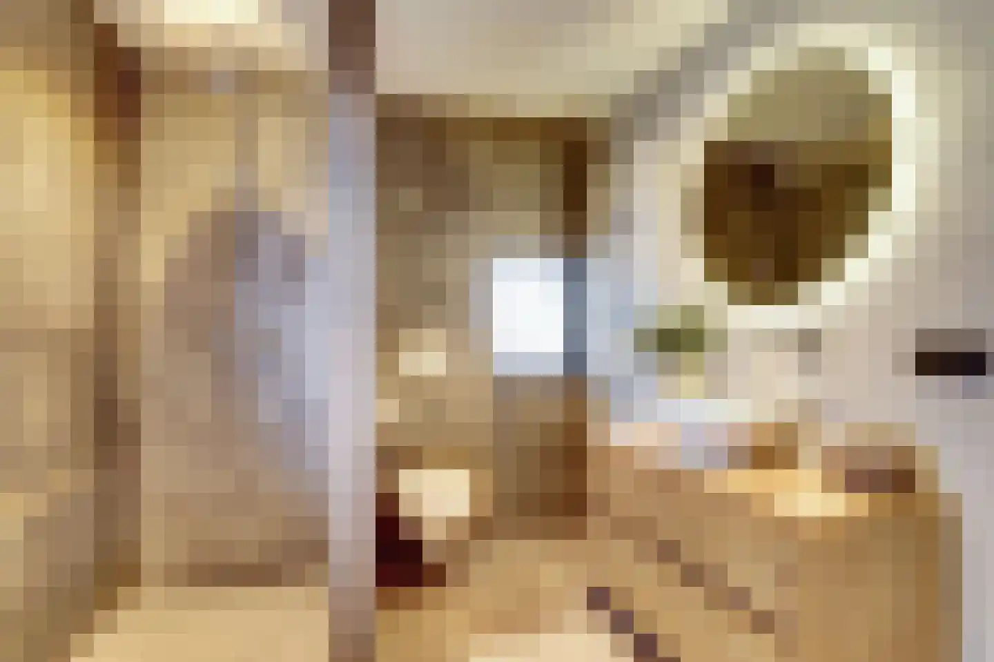 Lindestraat 2 Reusel thumbnail 57