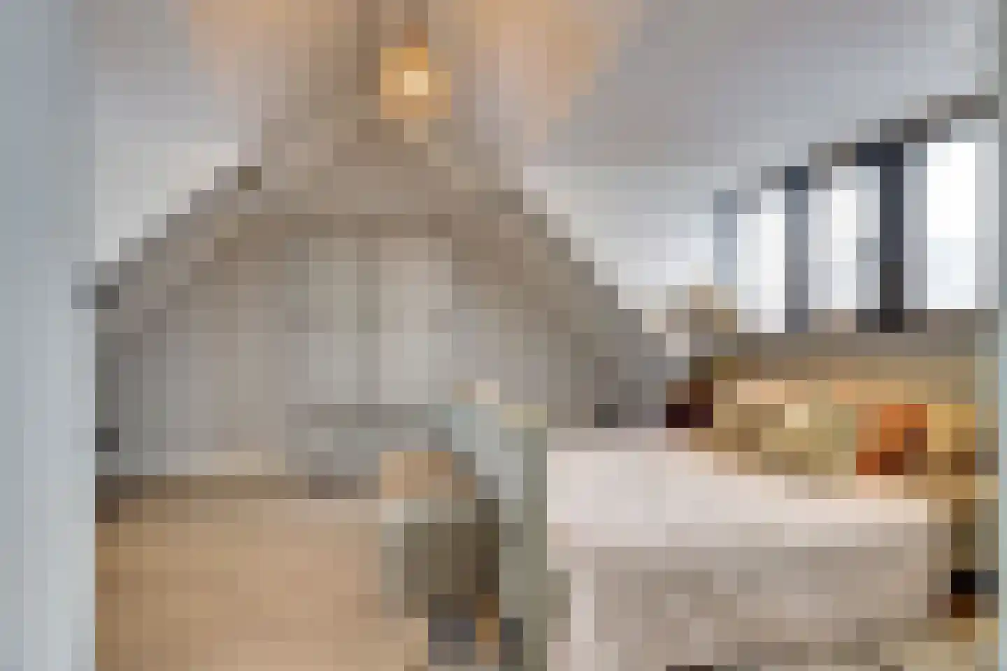 Lindestraat 2 Reusel thumbnail 59