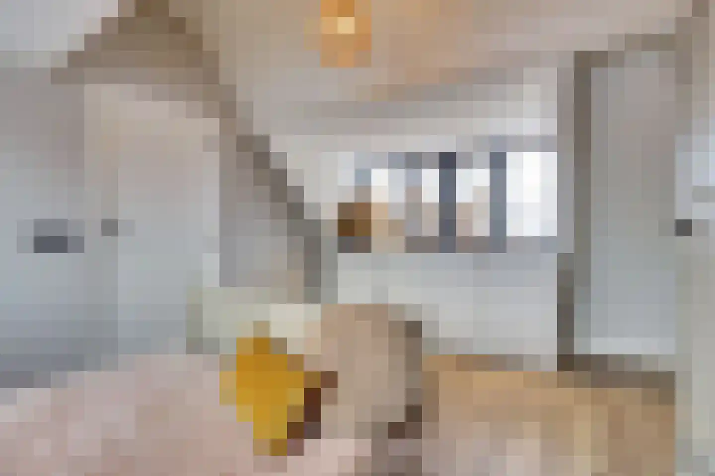 Lindestraat 2 Reusel thumbnail 60