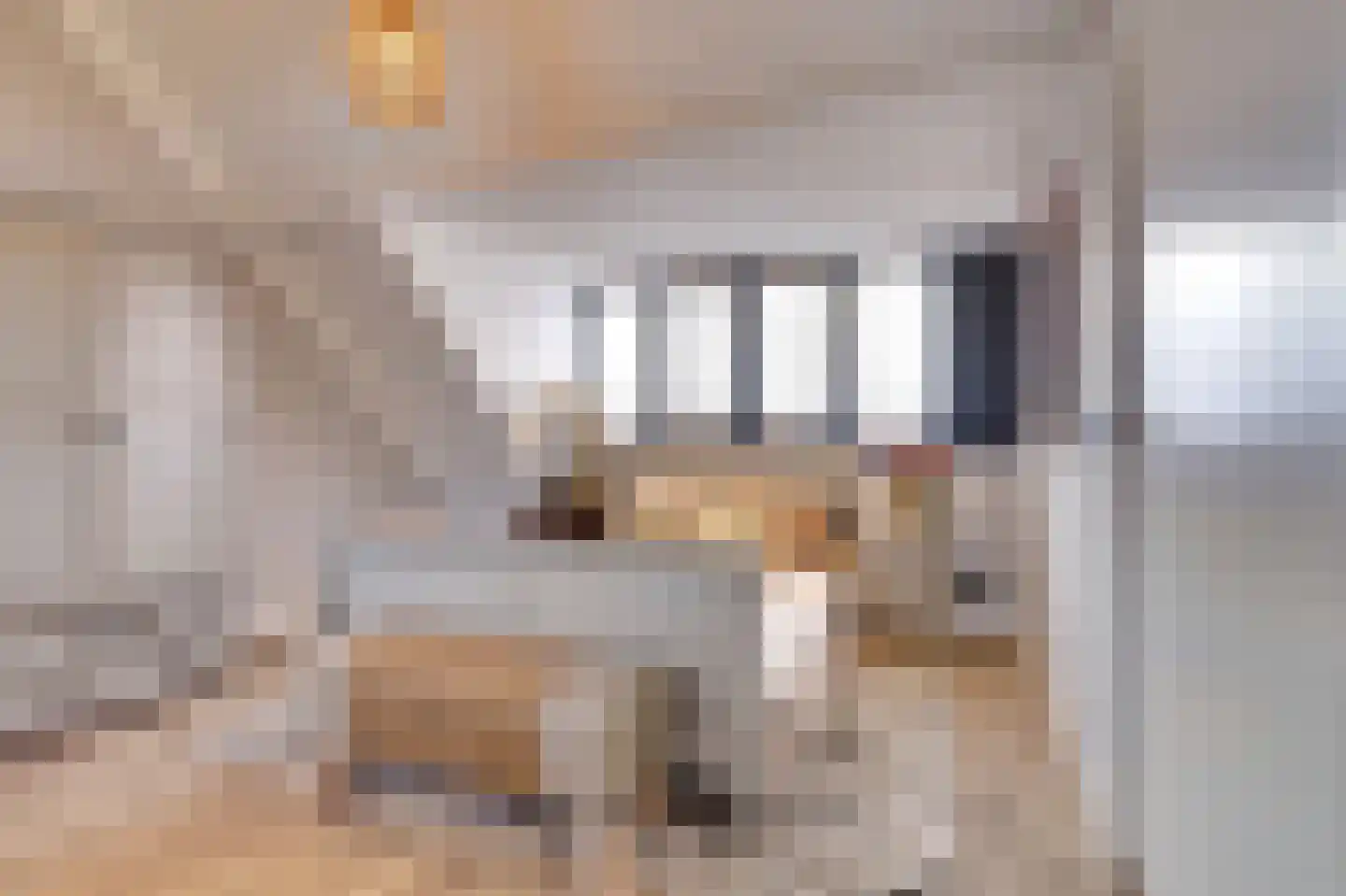 Lindestraat 2 Reusel thumbnail 61