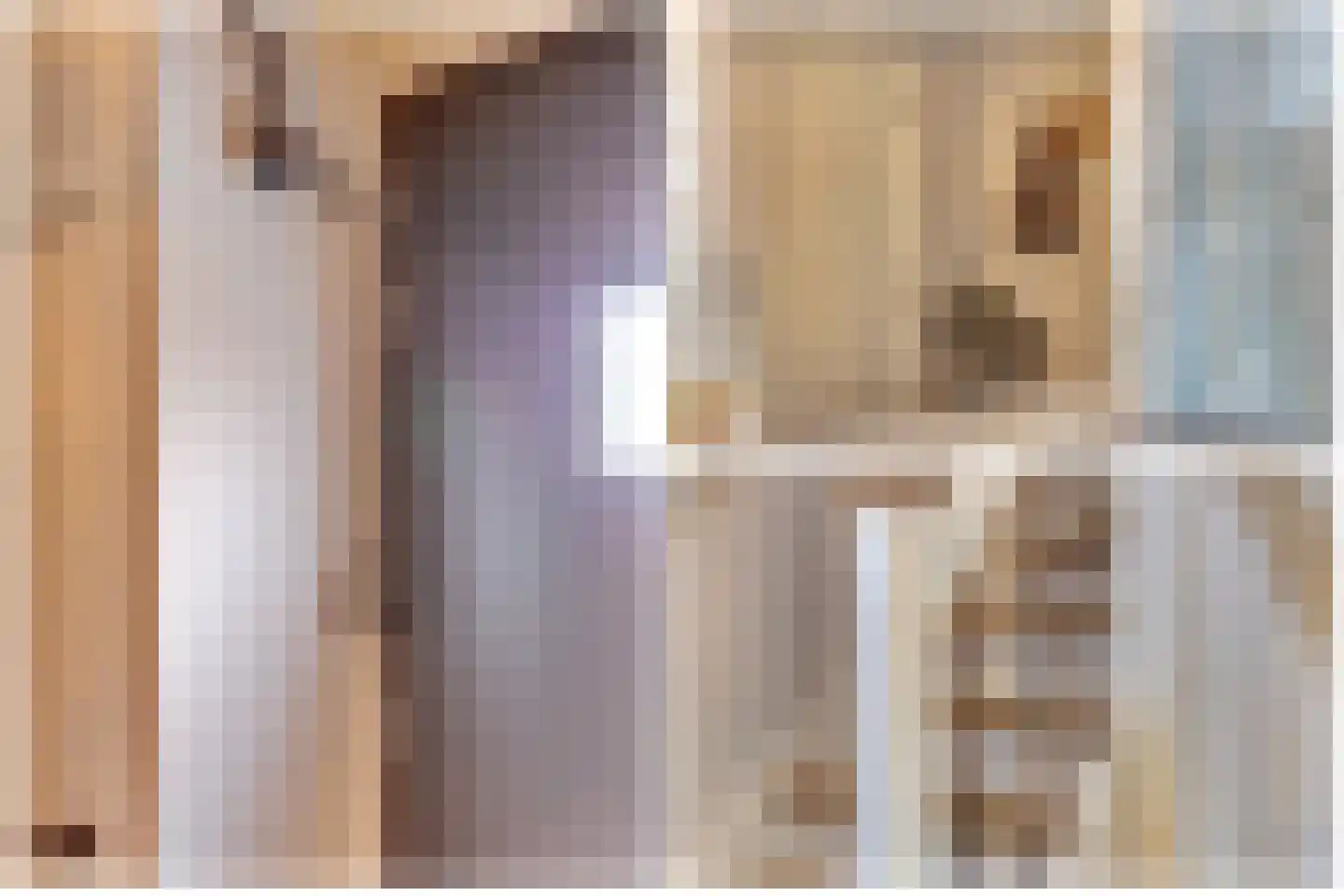 Lindestraat 2 Reusel thumbnail 7