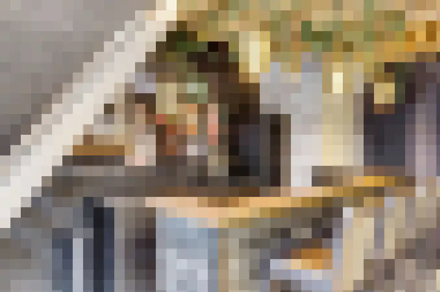 Lindestraat 2 Reusel thumbnail 79