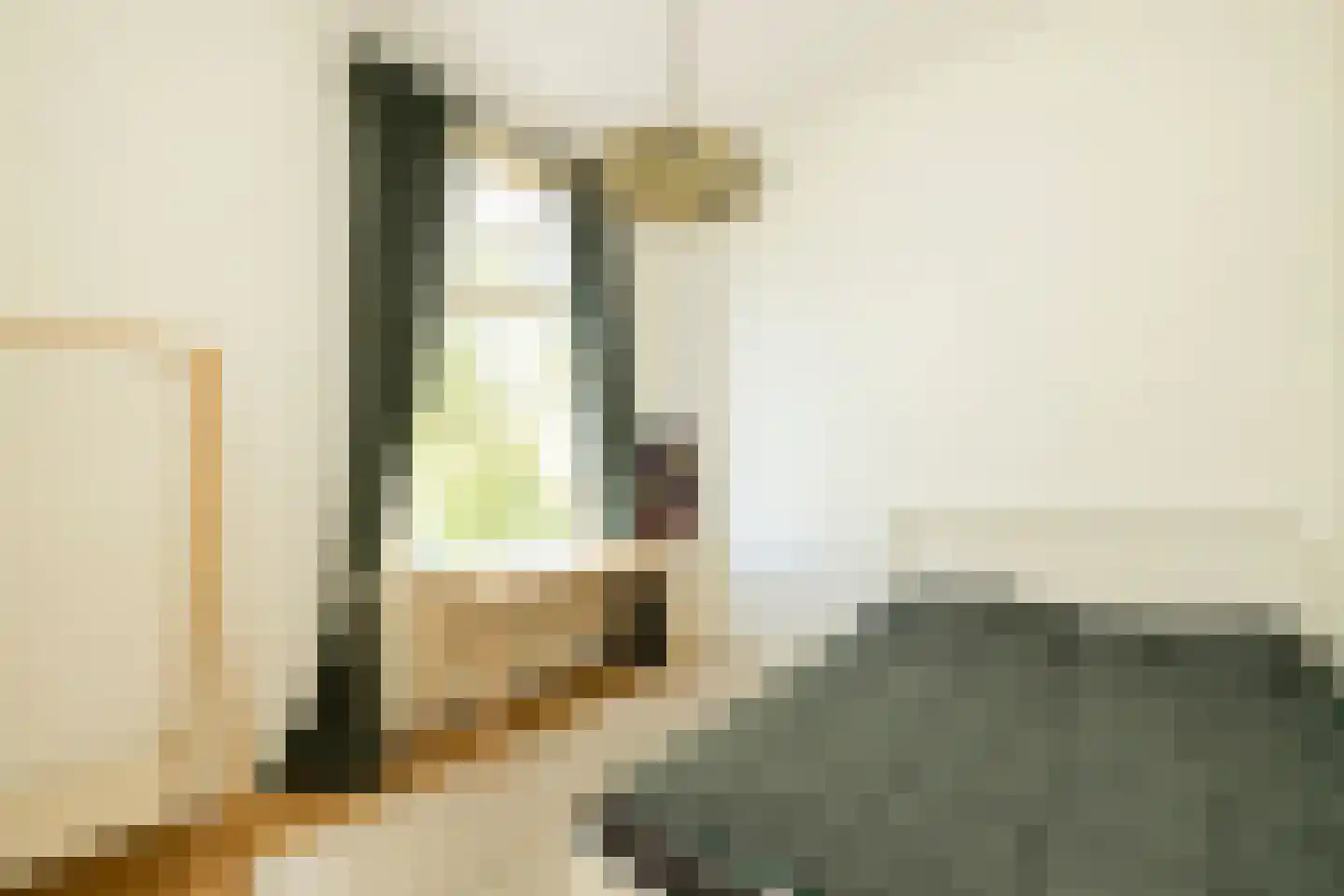 Lindestraat 22 Den Haag thumbnail 21