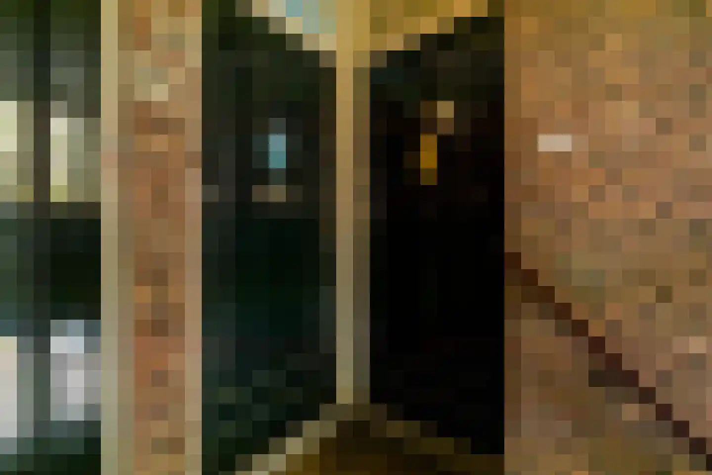 Lindestraat 22 Den Haag thumbnail 32
