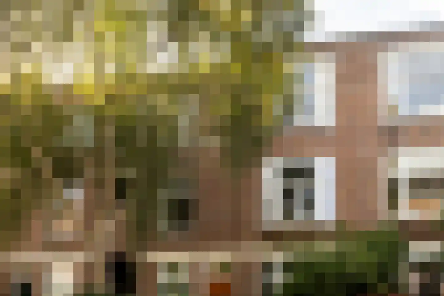 Lindestraat 22 Den Haag thumbnail 34