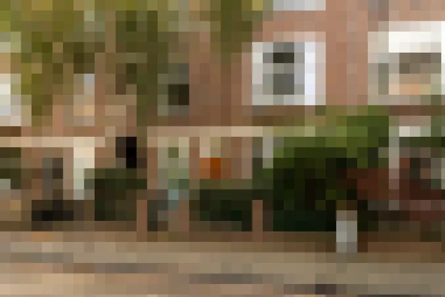 Lindestraat 22 Den Haag thumbnail 35