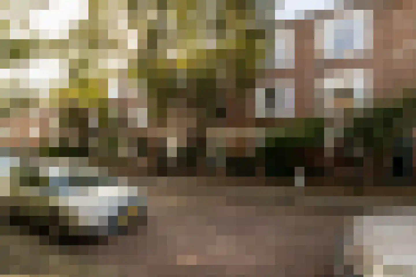 Lindestraat 22 Den Haag thumbnail 37