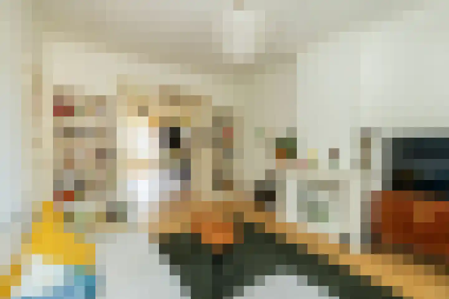 Lindestraat 22 Den Haag thumbnail 5