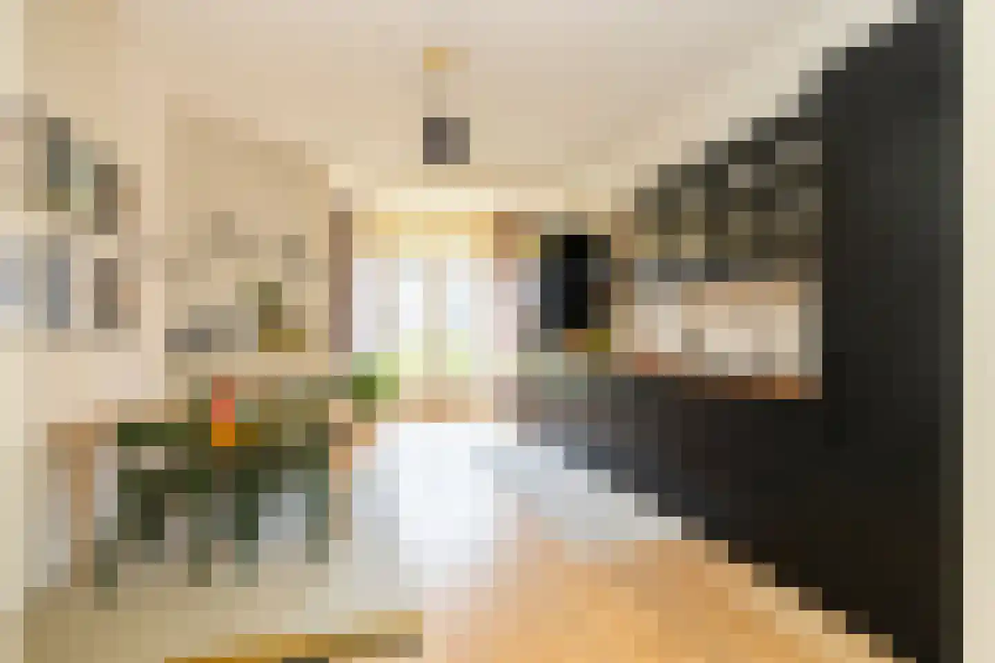 Lindestraat 22 Den Haag thumbnail 8