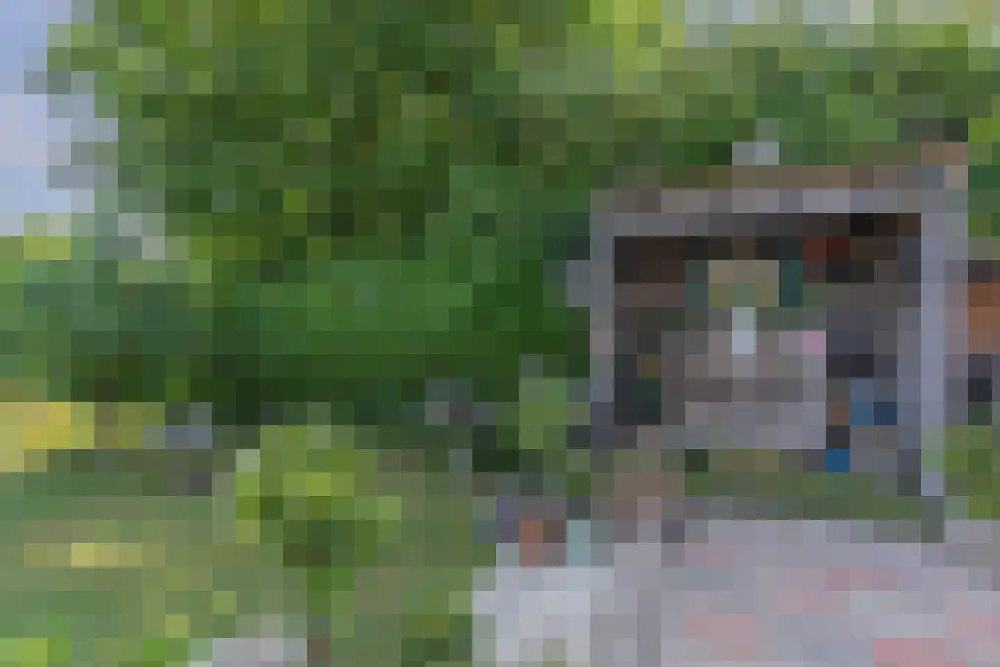 Lindestraat 22 Oudelande thumbnail 27