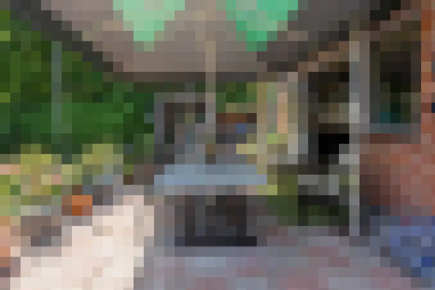 Lindestraat 22 Oudelande thumbnail 32