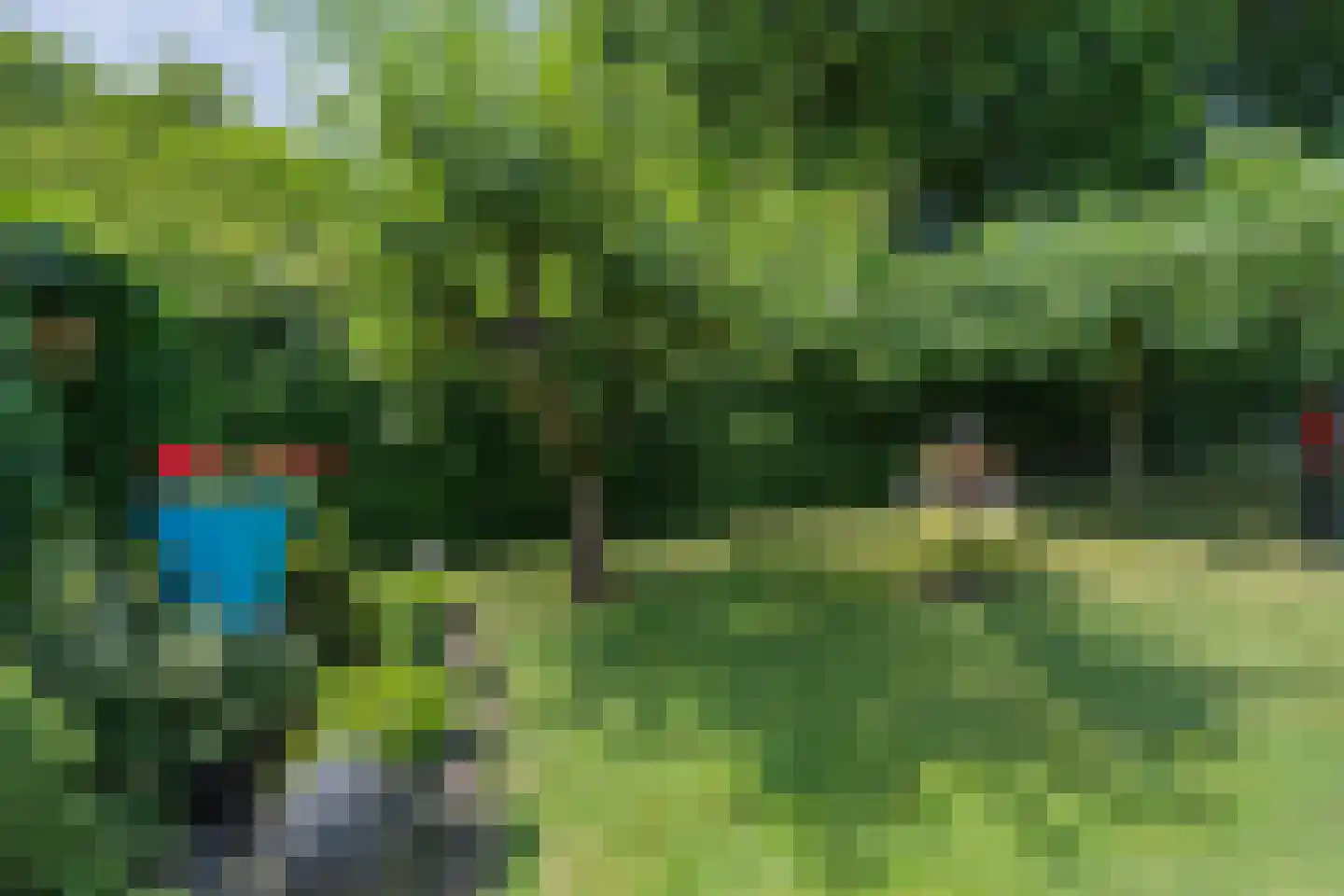 Lindestraat 22 Oudelande thumbnail 38