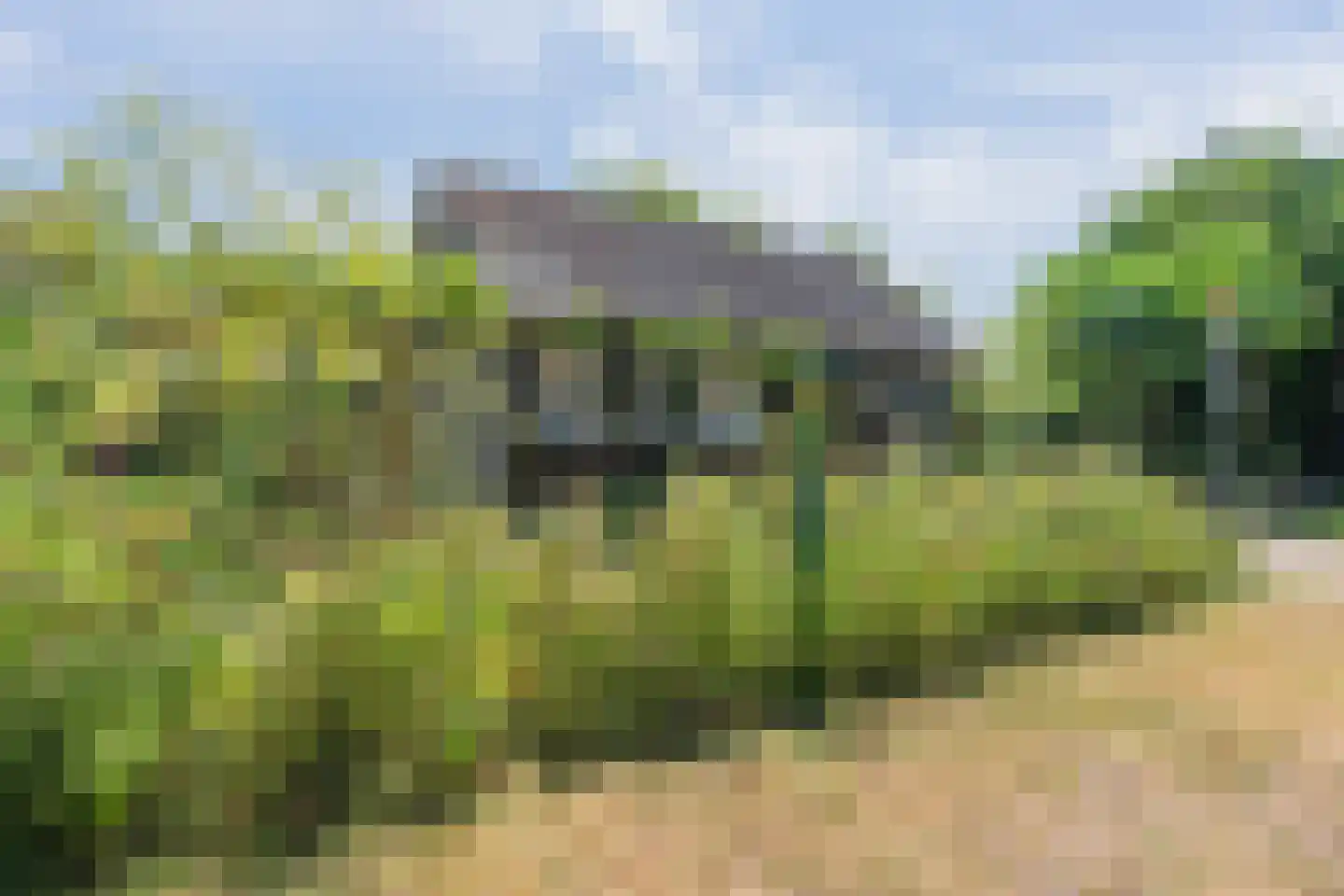 Lindestraat 22 Oudelande thumbnail 47