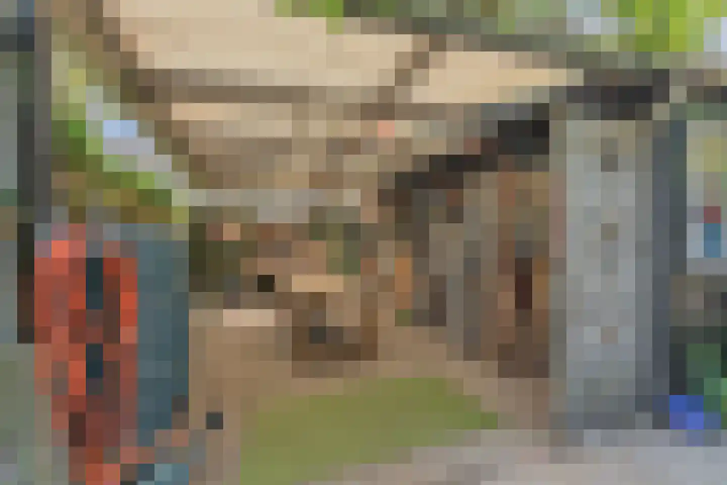 Lindestraat 22 Oudelande thumbnail 61