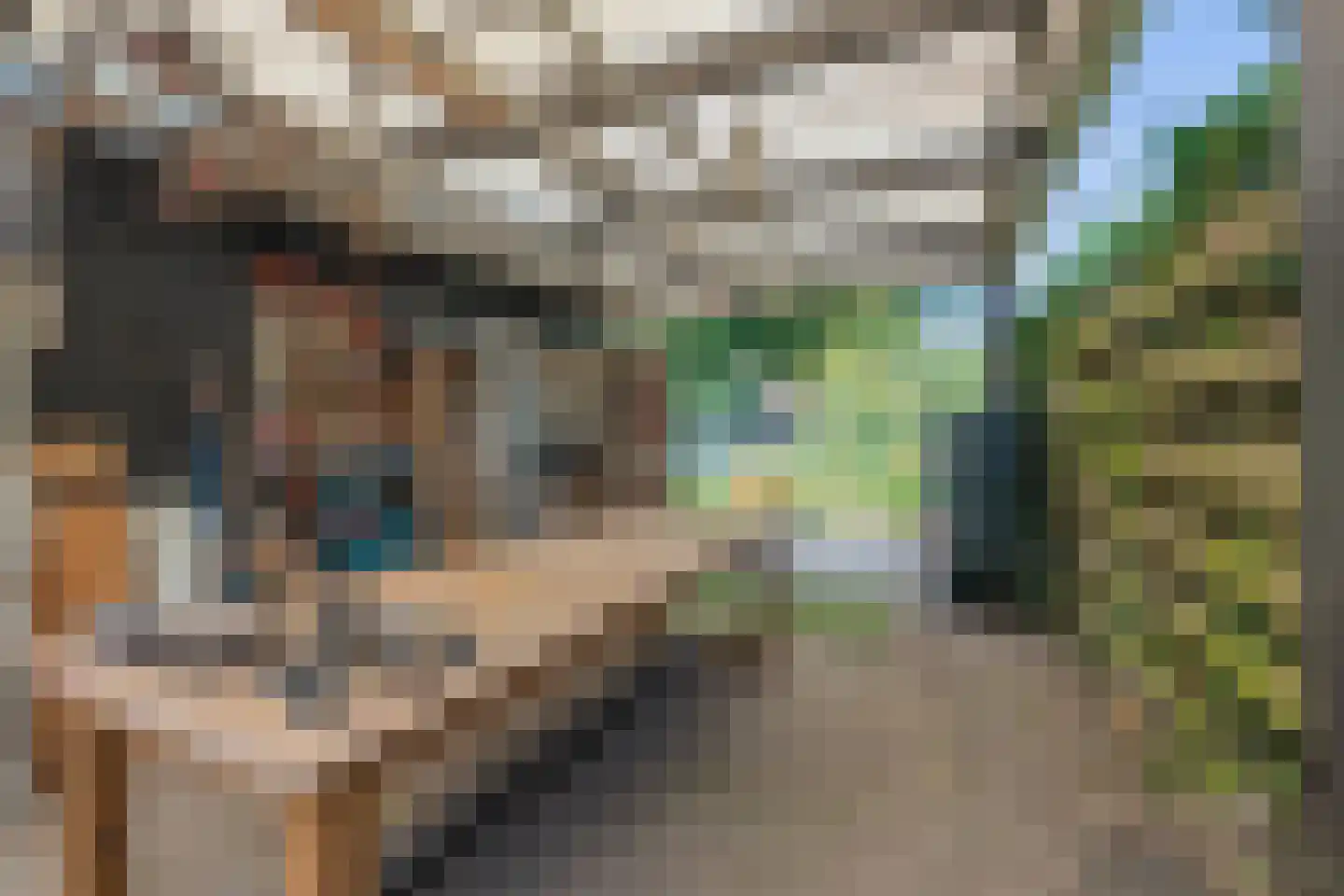 Lindestraat 22 Oudelande thumbnail 64