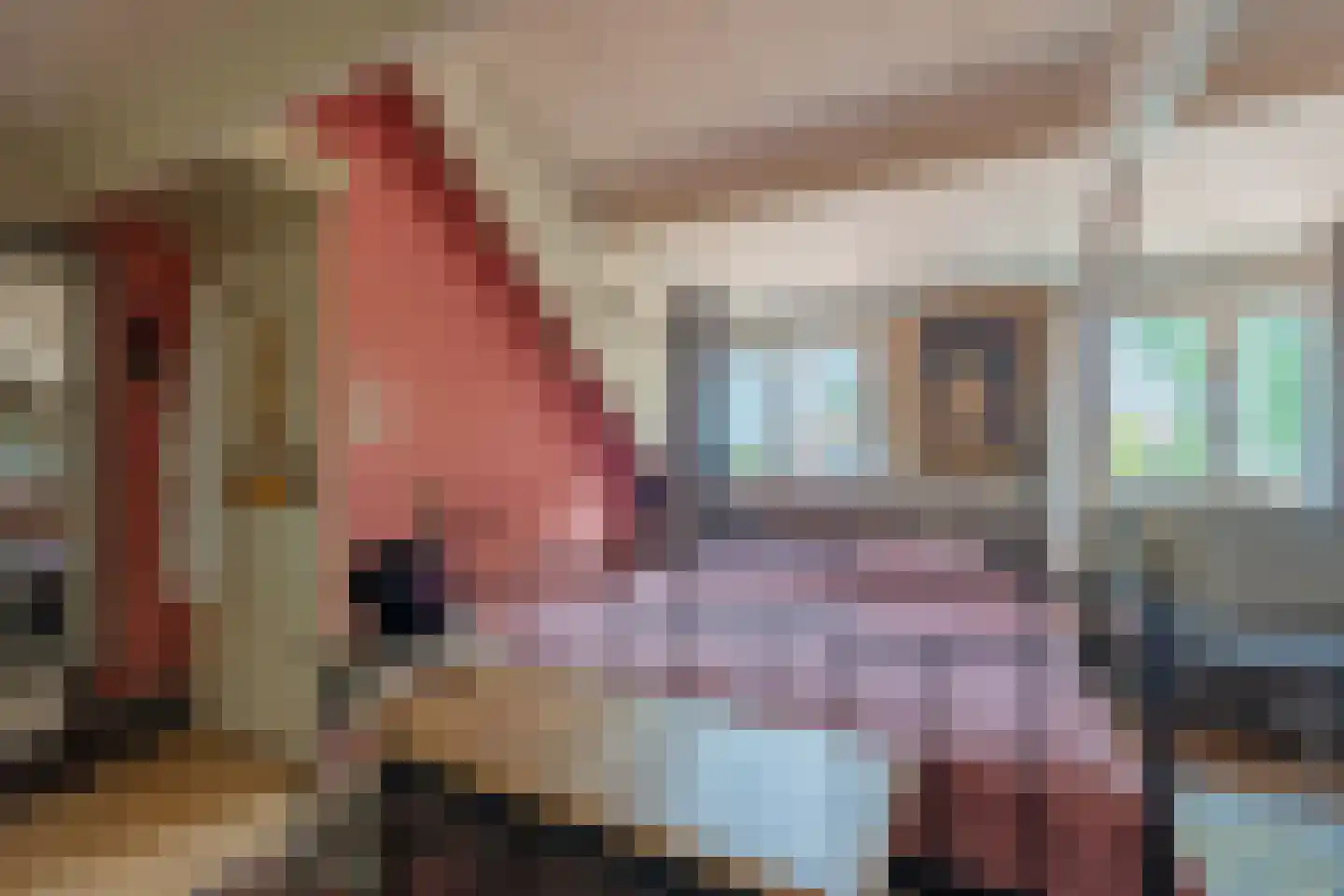 Lindestraat 22 Oudelande thumbnail 67