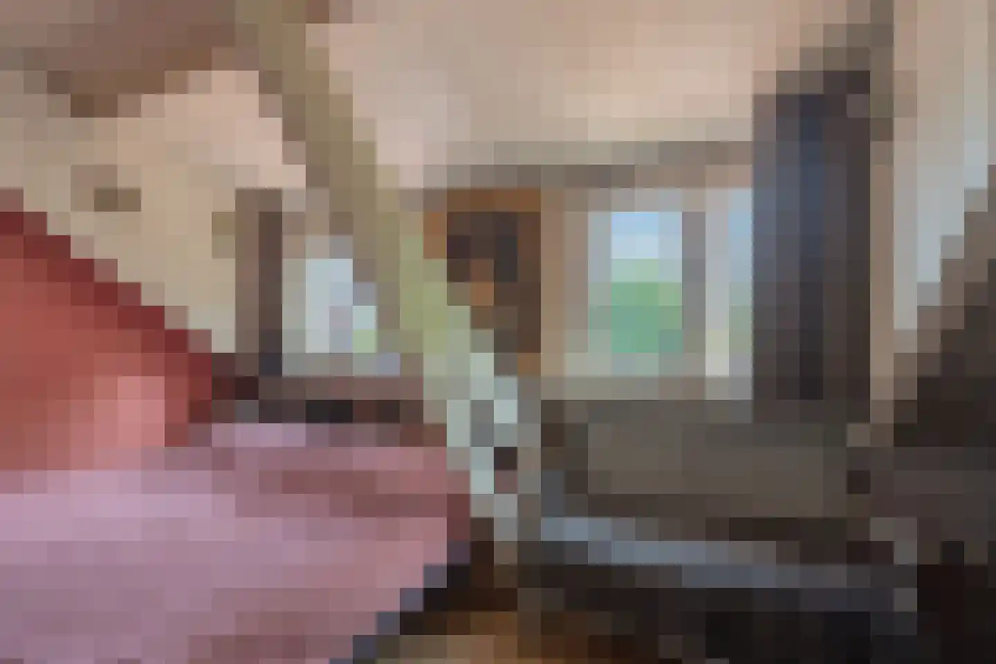 Lindestraat 22 Oudelande thumbnail 70