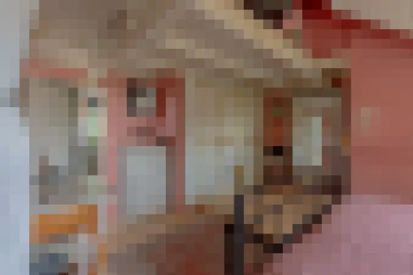 Lindestraat 22 Oudelande thumbnail 71