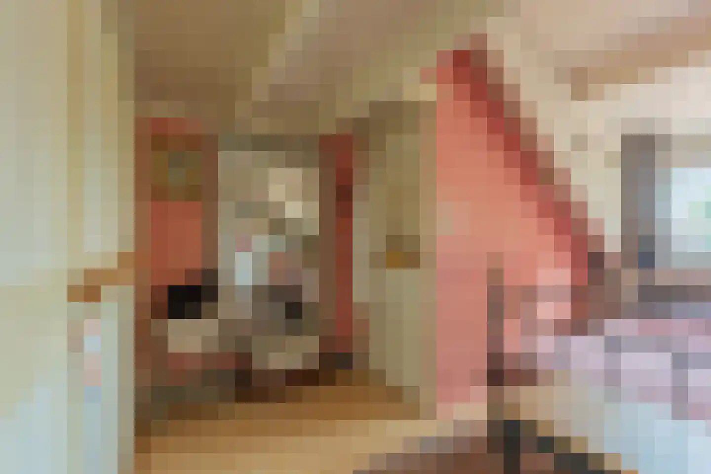 Lindestraat 22 Oudelande thumbnail 72