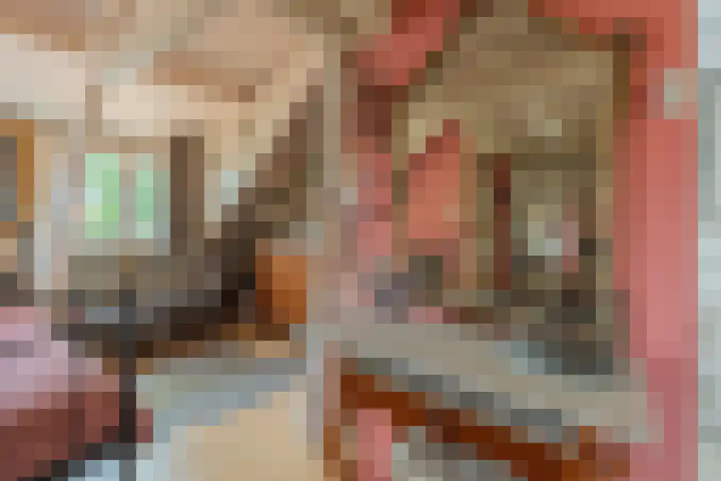 Lindestraat 22 Oudelande thumbnail 73
