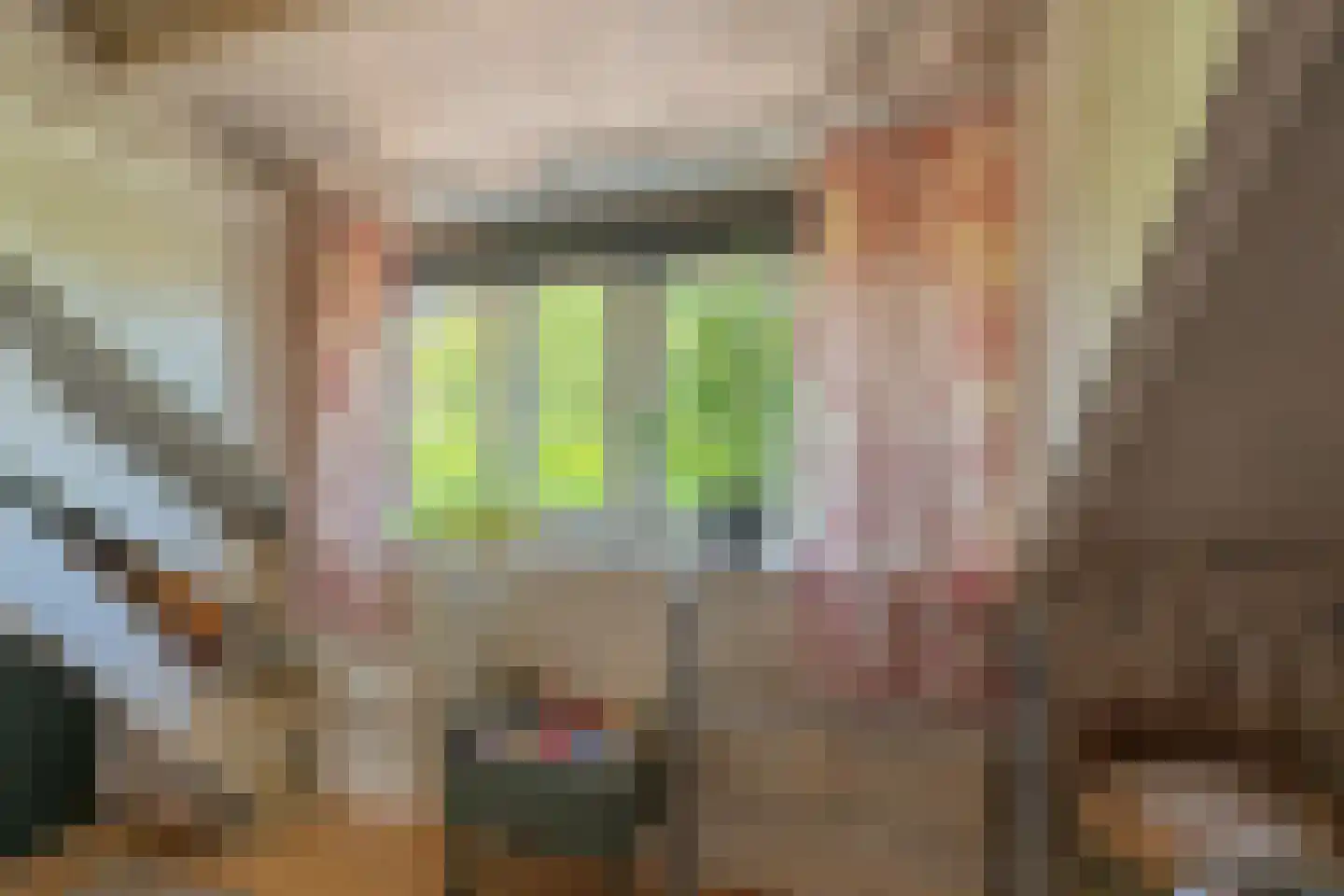 Lindestraat 22 Oudelande thumbnail 78